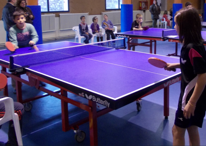 Ping pong – Tennis taula a educació física