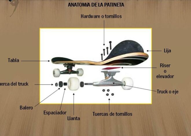 Skates i monopatins