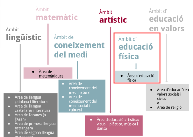 Avançament del currículum d’educació física 2015 per a l’educació primària