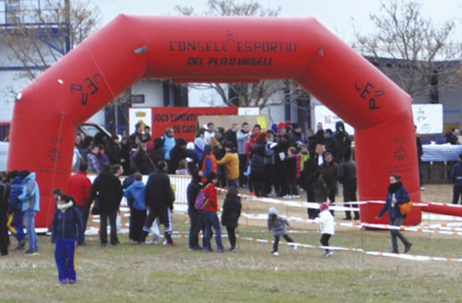 Consells esportius de Catalunya