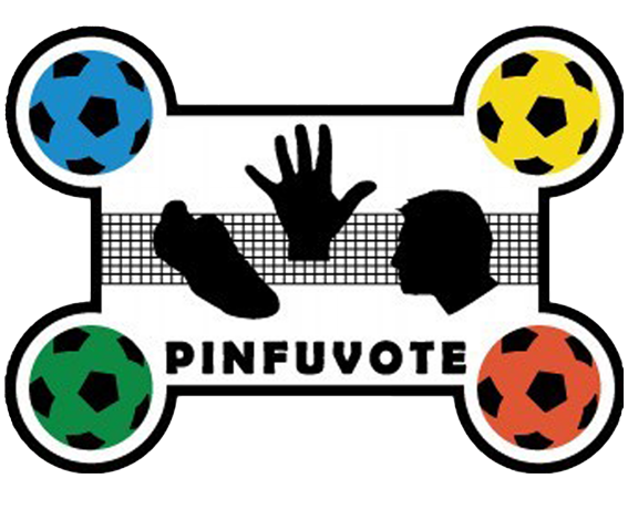 Pinfuvote