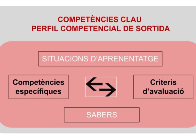 Com contribueix l’EF a l’assoliment de les competències clau?